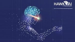 Our in-house remote monitoring system, Hawk AI, gives us real-time alerts and checks of the performance of all our solar plants, thus enhancing productivity. #GoSolar with #AmplusSolar | Gentari India