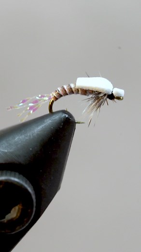 Venturesflyco on TikTok