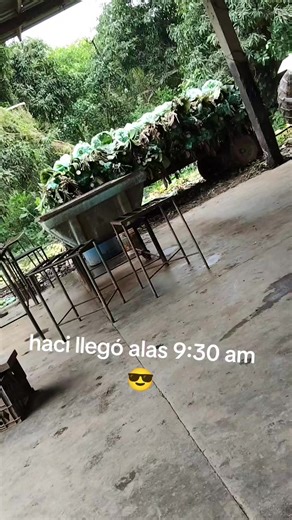 Videos de RODRIGO_:)&🤪👿 (@_el.diablo_3) con “sonido original - MALPORTADO👹”