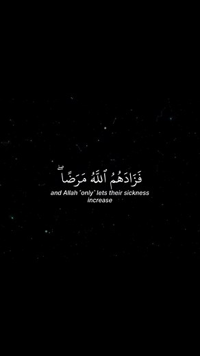 Surah Baqarah Recitation by Mishary Al Alafasy