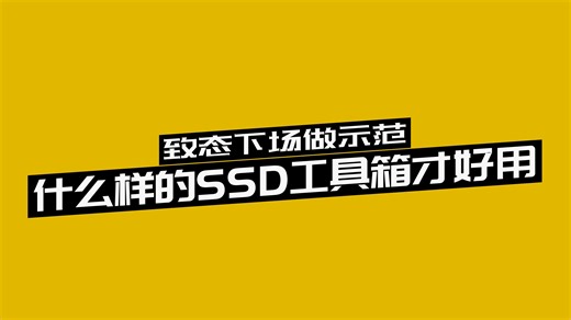什么样的SSD工具箱才好用？致态下场做示范