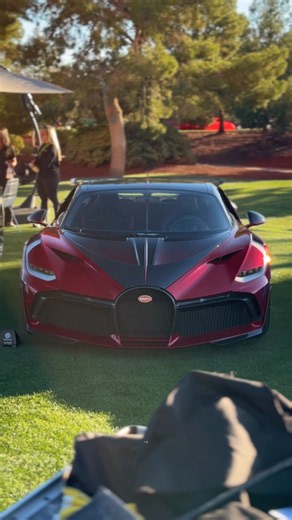 The amazing One-Off Bugatti Divo 'Ladybug' 🐞