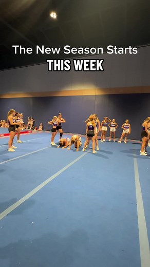 ElleCee Cheerleading Throne: Cute Stunting and Tumbling Moments