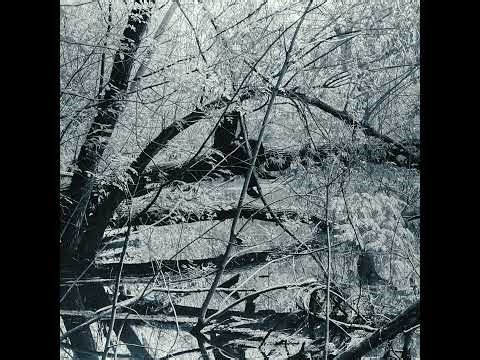 Brahny - Early Snow for a Warm Winter