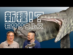 新種モササウルス大阪で化石発見！！