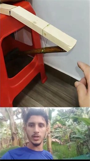 How Can a Piece of Wood Stand Up by Itself? 🤯 The Science Behind It! #Shorts