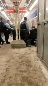 71K views · 255 reactions | Raw footage of a man getting arrested after trying to light himself on fire while aboard a CTA Red Line train (Video 2/4) | People of the CTA | Facebook