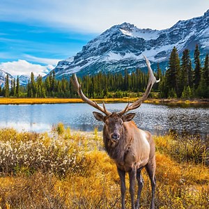 Canada | Activity Ideas for Seniors & the Elderly