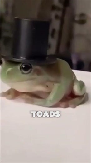 Toads don't USE their mouth for eating😬🙏🏻#shorts #trending #funny #subscribe
