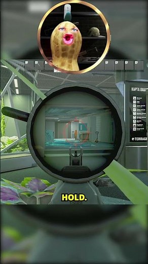 Peanut Meets Bomb Proof Wizard In Tarkov