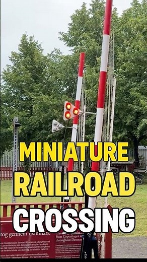 Miniature Train Crossing Action! 🚂🚨