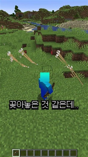 long arrow