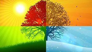 Loopable Animation Landscape Showing Four Seasons Stock Footage Video (100% Royalty-free) 18566732 | Shutterstock