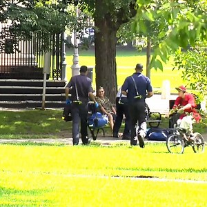 706K views · 1.9K reactions | In een Amerikaans park zijn maar liefst 76 mensen onwel geworden na het gebruiken van K2 of Spice. Dat ook wel een 'zombiedrug' wordt genoemd. Het is een groot probleem in de VS → nos.nl/l/2246283 | NOS | Facebook