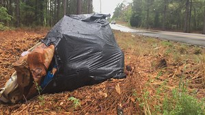 Enforcement officers, volunteer program aims to eliminate litter in Lexington County