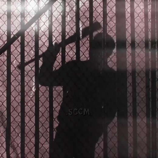 تصميم فيديوهات مذهلة مع منظمة om4