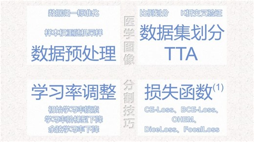 医学图像分割技巧之数据预处理 数据集划分 TTA 学习率调整 损失函数解析