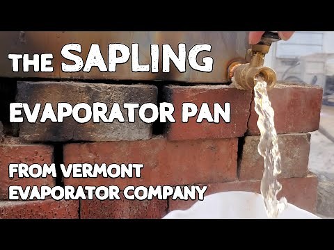 Testing Our New Maple Sap Evaporator Pan!