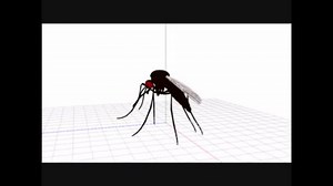 [MMD] 蚊 PMXモデル配布します [MMM]