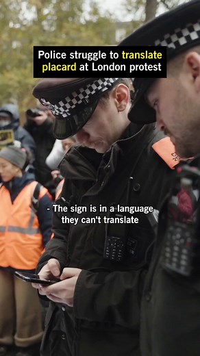 136K views · 5.8K reactions | Who benefits when protest starts being criminalised as “terrorism”? Dozens more were arrested in London on Saturday 22.11 under terror laws. All for peacefully holding placards. The arrest of otherwise peaceful protesters is a violation of the UK’s international obligations to protect the rights of freedom of expression and assembly. Reminder: police chiefs have a choice about how they police protests. | Amnesty International UK | Facebook