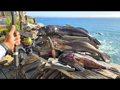 BEST Day on the Water - 60 Inches of Lingcod! Catch and Cook!