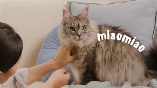 Pacagen TV Spot, 'Our Cat Miaomiao'