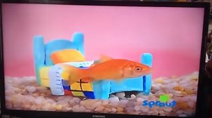 【53】Elmo's World_ Sleep - Kid Moments