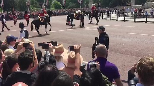 Former head of British forces Marshal Guthrie thrown from horse