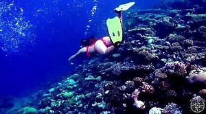 Видео Young Models _ Underwater World _ Model Steppe Flower.mp4 | OK.RU