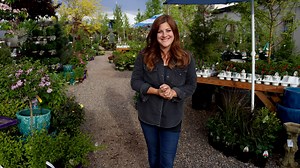 353K views · 13K reactions | A Tour of My Parent’s Garden Center! ...
