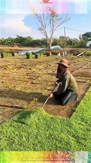 Most Satisfying Way to Harvest Grass! 🌿✨