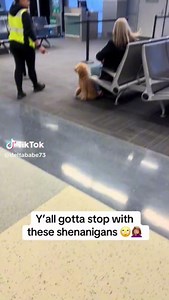 799K views · 3.7K reactions | She can NOT be serious?! A woman argued with an airline employee because she was trying to fit her MEDIUM SIZED DOG into a CAT carrier and the airline employee wasn't having it. | 1075 KZL | Facebook