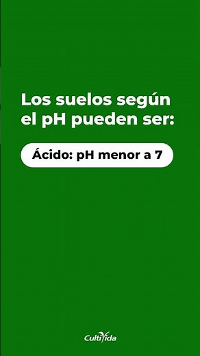 ¿Conoces el pH de tu suelo? Descúbrelo y mejora tu producción
