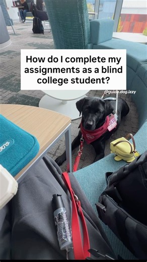 Technology is one of the biggest things that makes schoolwork accessible! #College #School #Blind