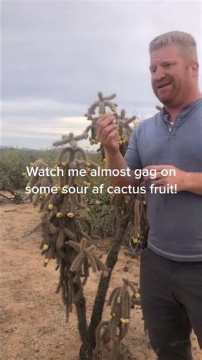 survivalhacks #Shorts