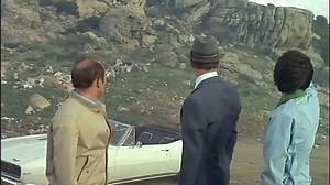 Le Fils (1973)