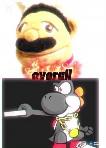 chef pee pee vs black yoshi