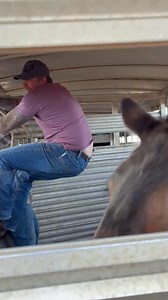 Buying a donkey for $80 seems like a good deal until it’s time to put a halter on him!!!! | David Bensmiller