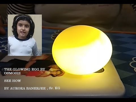 Glowing Egg (Osmosis Experiment)