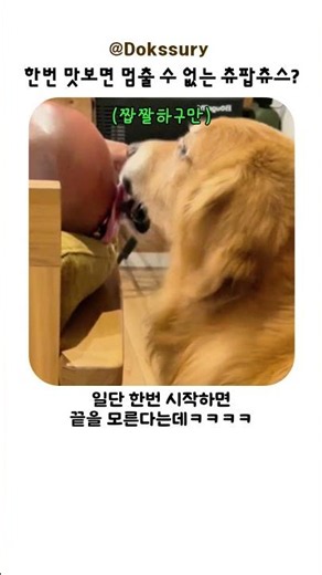 한번 맛보면 멈출 수 없는 츄팝츄스?
