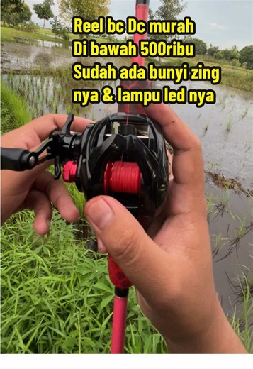 Reel BC Lizard Golf DC: Review dan Harga Terupdate