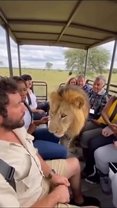 56K views · 695 reactions | Animation Recapped on Reels | Facebook