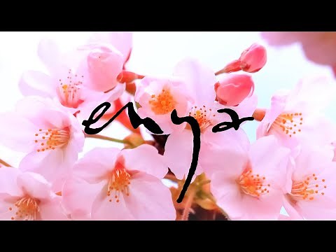 【桜のBGM】癒し効果絶大！エンヤ・ベスト曲集 第6弾