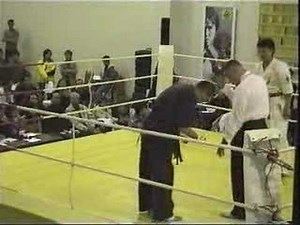 Kyokusin Karate VS Wing Tsun