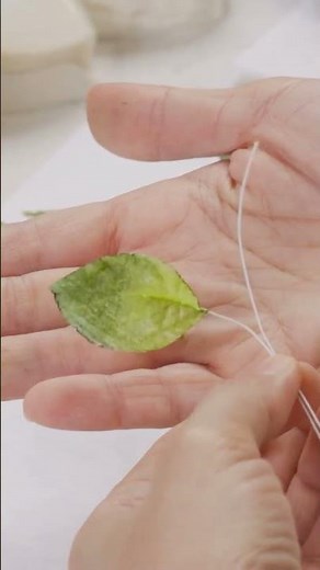 🌱Easy Wafer Paper Leaves & Vines🌿 A simple but important fundamental technique that you can apply