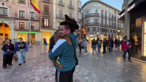 People React to Cute German Shepherd Outdoors