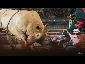 COLORADO RODEO 2025 (FRIDAY / HIGHLIGHTS)