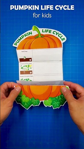 Pumpkin Life Cycle Stages Activity