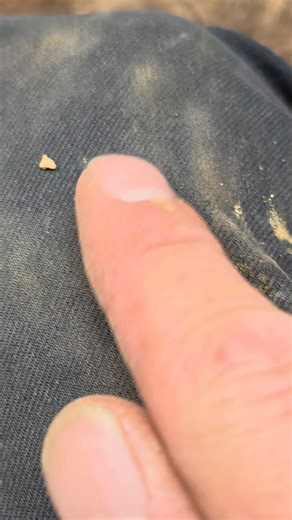 What the gold miners missed the Minelab GPX-6000 will find👌 #minelab #Gpx6000 #coiltek #goldhawk #digitdetecting | DIG IT DETECTING