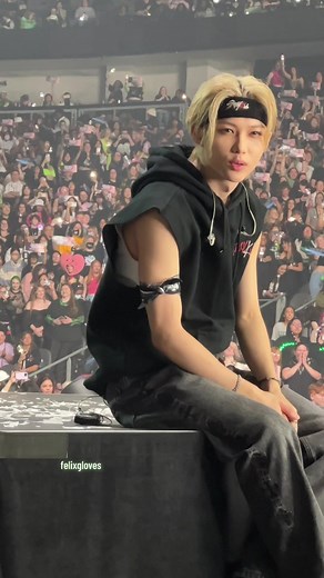 Felix of Stray Kids Live Fancam Highlights